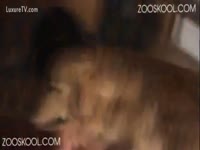 Zooskool The Record Part 5- Dog xxx fucks juicy pussy